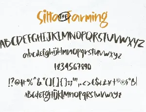 Silta The Farming font