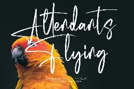 Symptonics Signature Handwritten Font