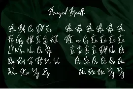 Amazed Breath - Handwritten Signature font