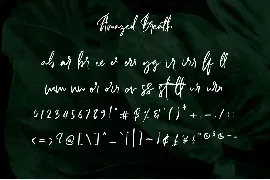 Amazed Breath - Handwritten Signature font