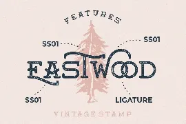 Moanster Vintage Stamp font