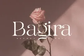 Rachel - Elegant Retro Serif Font