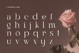 Rachel - Elegant Retro Serif Font