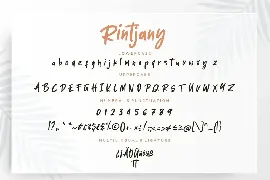 Rintjany Stylish Marker Business Font