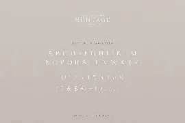 Montage Serif Font