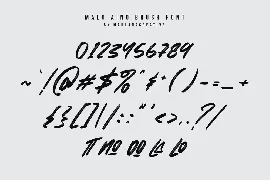 Malo Aino Graffiti Brush Font