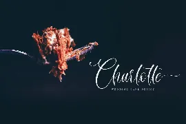 Mitchellia Script font