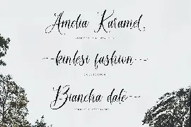 Mitchellia Script font