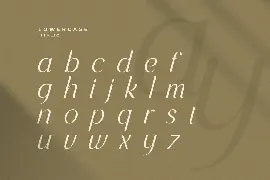 Knowledge - Modern Elegant Serif font