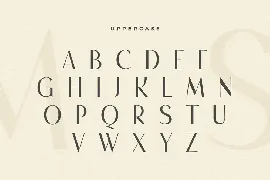 Knowledge - Modern Elegant Serif font