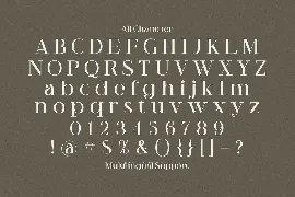 Riley Frost - Casual Serif Font