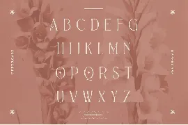 Alexang Display - Retro Font