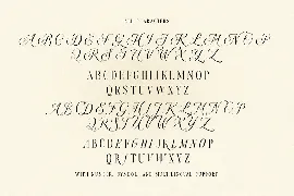 Androgy Display font