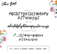 Chic Gal Modern Script Font