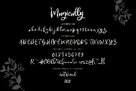 Magically Stylish Business Font