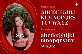 AurenNakari - Modern Serif font