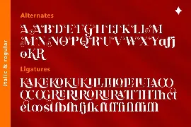 AurenNakari - Modern Serif font