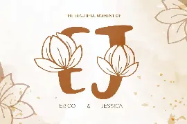 Brown Monogram Font