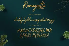 Romagnitta - Signature Font