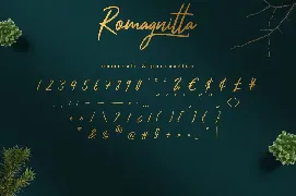 Romagnitta - Signature Font