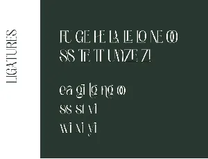 Bagnolia - Vintage Font