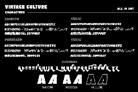 Vintage Culture Font