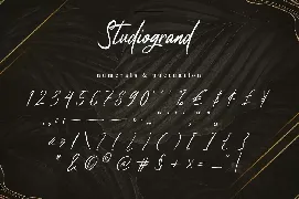 Studiogrand - Signature Font