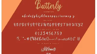 Butterly Calligraphy Business Font