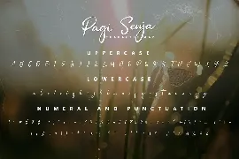 Pagi Senja - Calligraphy Font