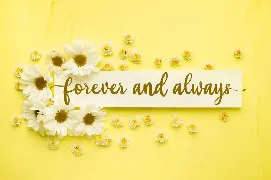 Yellow Bunny - Lovely Calligraphy Font