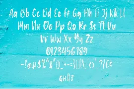 Pokaloca | Brush font