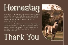 Homestag Font