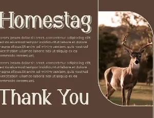 Homestag Font