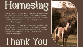 Homestag Font