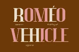 Luck Moniec - Luxury Font