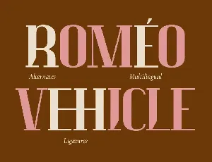 Luck Moniec - Luxury Font