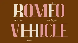 Luck Moniec - Luxury Font