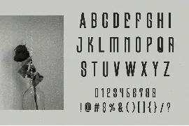 Paranomik â€“ Modern Sans Serif font