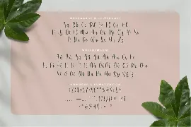 Reyfane font