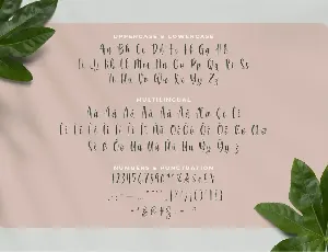 Reyfane font