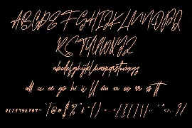 Stereomantic Signature Brush Font