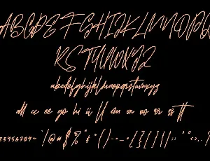 Stereomantic Signature Brush Font