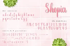 Shopia - Stylish Calligraphy Font