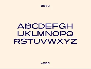 Baou Modern logo font