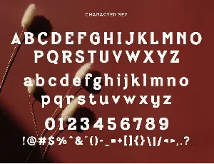 Bilanger - Modern Sans Serif font