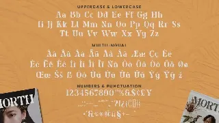 Vintage Modern Font - Naveta