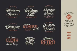 Lastwinter | Vintage Script font