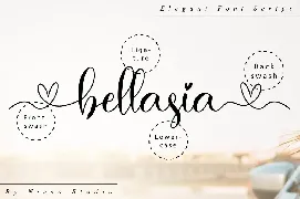 Baiskey - Romantic Script Font