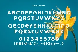 Quickner - Display Sans Serif font