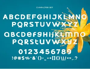 Quickner - Display Sans Serif font